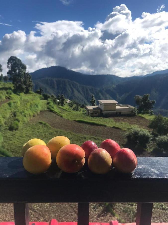 Green View Resort New Tehri Extérieur photo